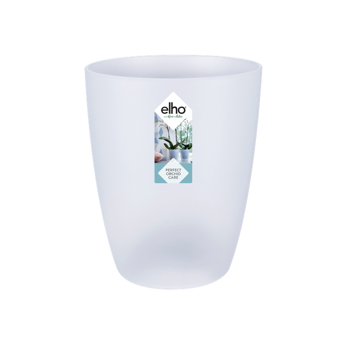 brussels orchidee hoog 12,5cm transparant